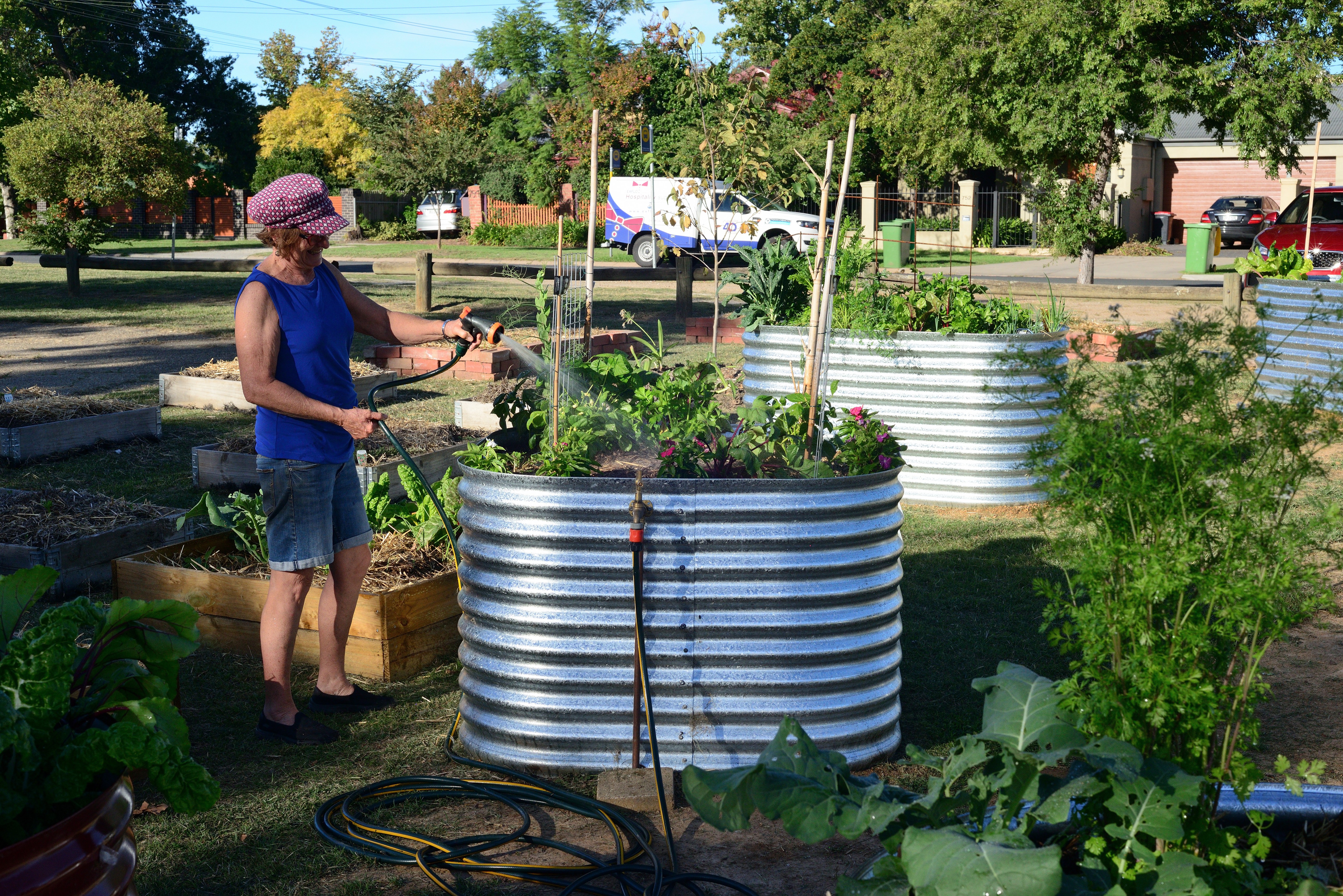 A woman watering a raised corrugated iron garden bed with a hose.