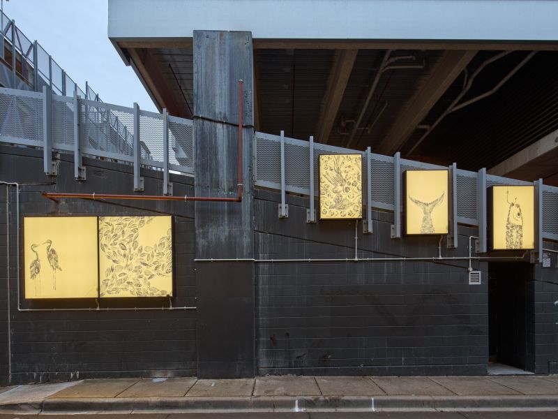 Installation view of Impressions of Nature