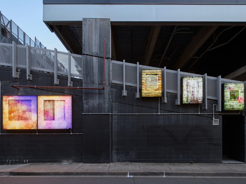 Lightboxes lit up in AMP Lane