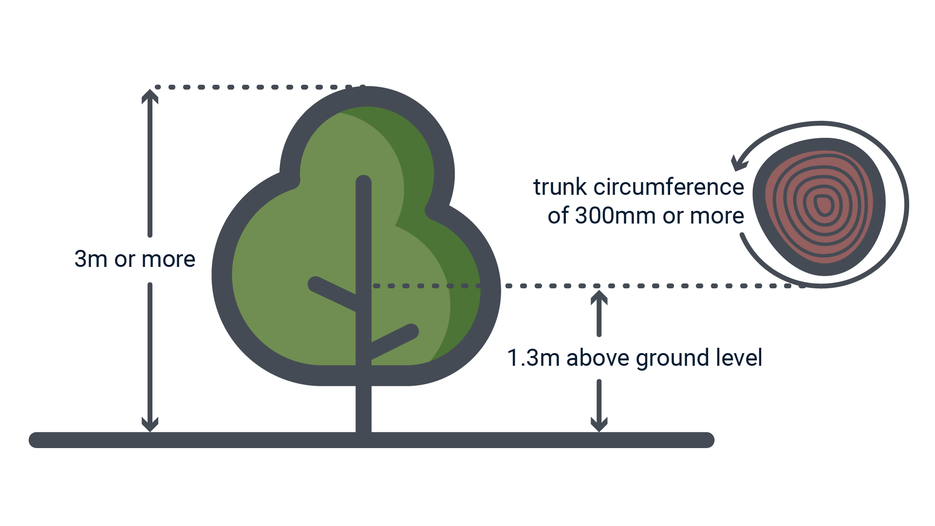 Tree Size Diagram