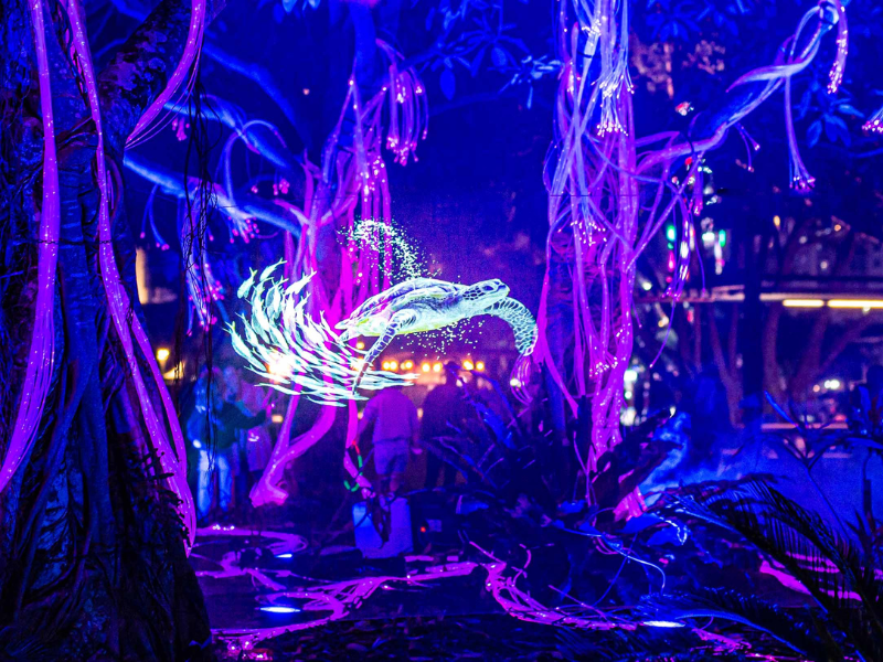 Aurora light and sound show 'turtle'