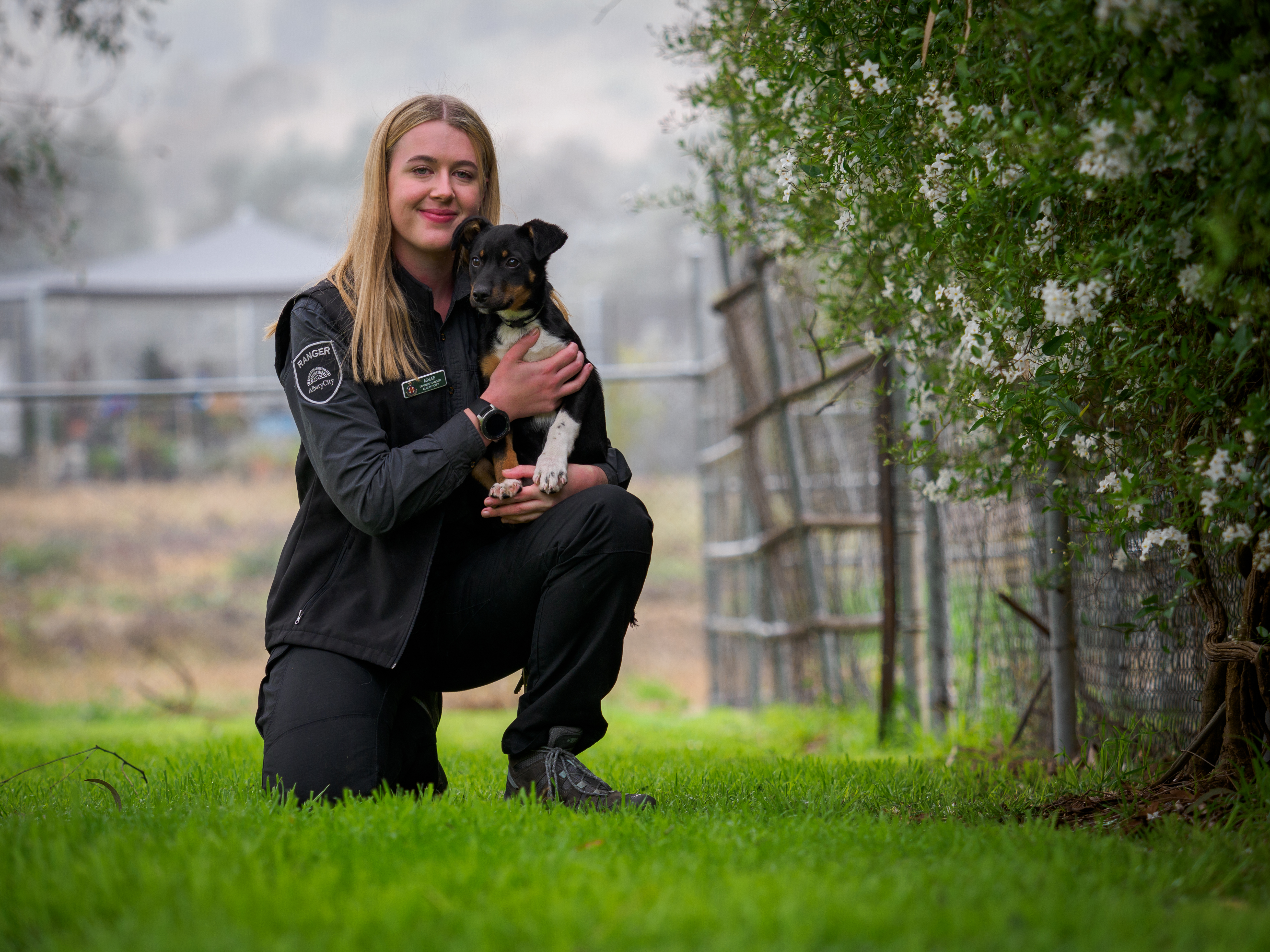 AlburyCity Ranger with dog